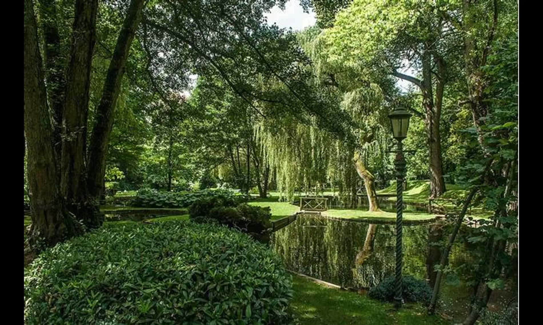 The pond at Netley Mill House ringed with clipped shrubs, a lamp post at its edge