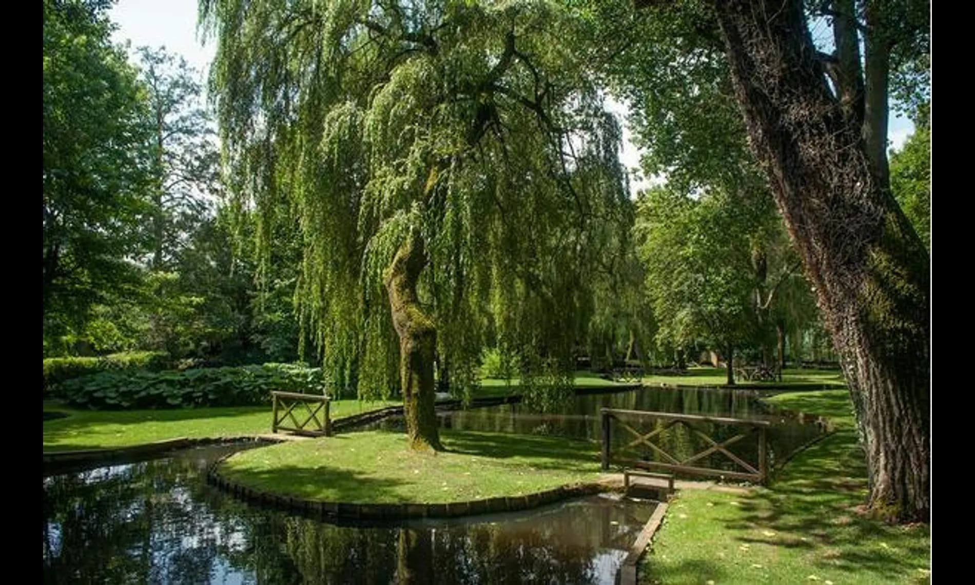 Timber bridges crossing to the willow island at Netley Mill House
